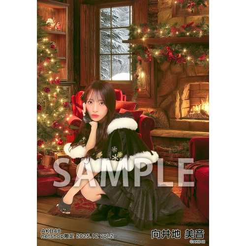 予約商品】AKB48 2025年12月度 net shop限定個別生写真5枚セットvol.2