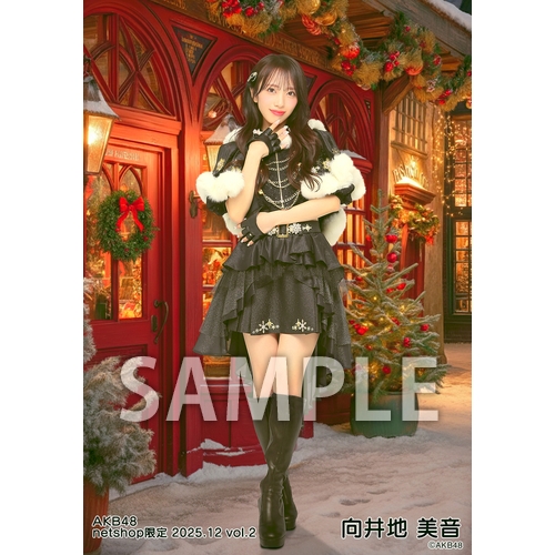 予約商品】AKB48 2025年12月度 net shop限定個別生写真5枚セットvol.2