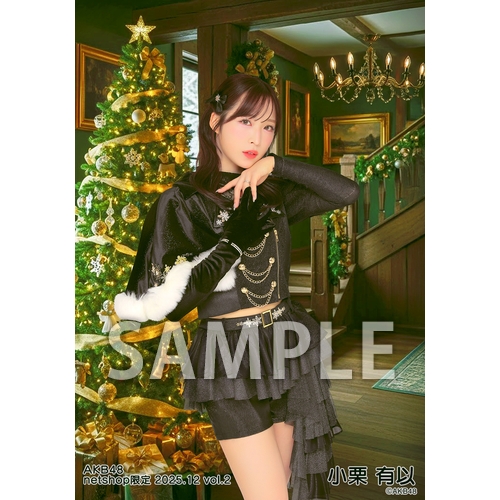 予約商品】AKB48 2025年12月度 net shop限定個別生写真5枚セットvol.2
