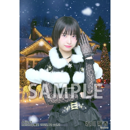 予約商品】AKB48 2025年12月度 net shop限定個別生写真5枚セットvol.2