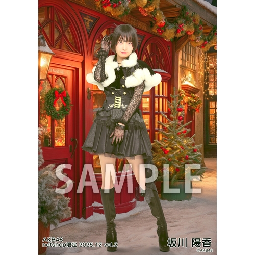 予約商品】AKB48 2025年12月度 net shop限定個別生写真5枚セットvol.2