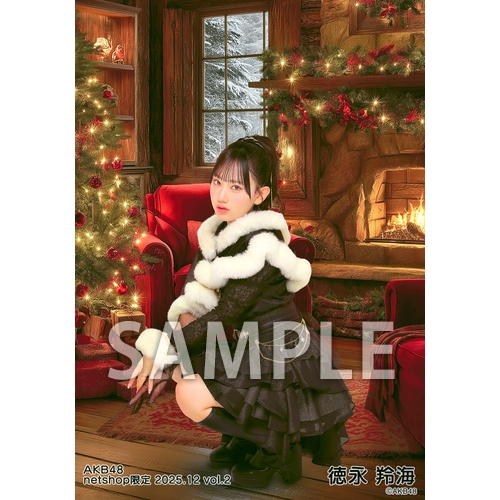 予約商品】AKB48 2025年12月度 net shop限定個別生写真5枚セットvol.2