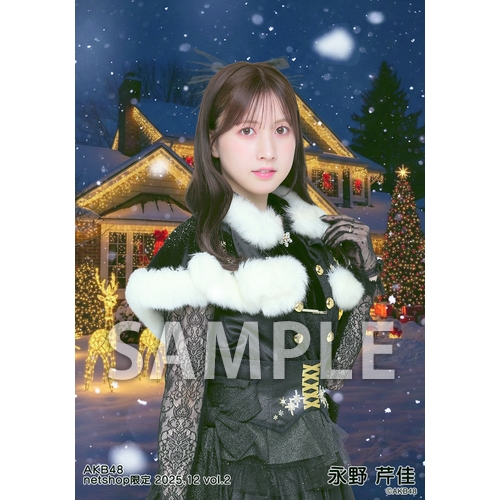 予約商品】AKB48 2025年12月度 net shop限定個別生写真5枚セットvol.2