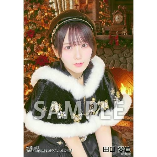 田口愛佳 AKB48 TOUR PARTY くじ　直筆サイン　フォトフレーム AKB48 TeamK AKB48春コンサート2023〜好きだ！と叫ぼう〜開催記念