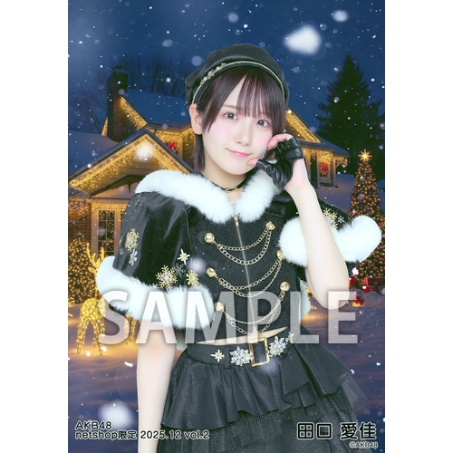 予約商品】AKB48 2025年12月度 net shop限定個別生写真5枚セットvol.2