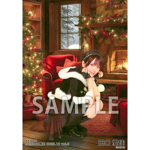 予約商品】AKB48 2025年12月度 net shop限定個別生写真5枚セットvol.2