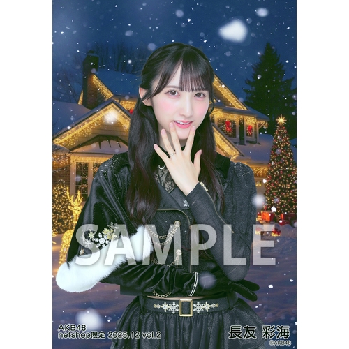 予約商品】AKB48 2025年12月度 net shop限定個別生写真5枚セットvol.2