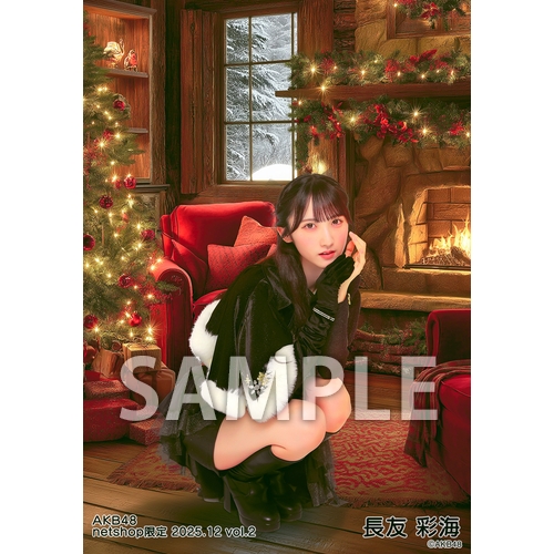 予約商品】AKB48 2025年12月度 net shop限定個別生写真5枚セットvol.2