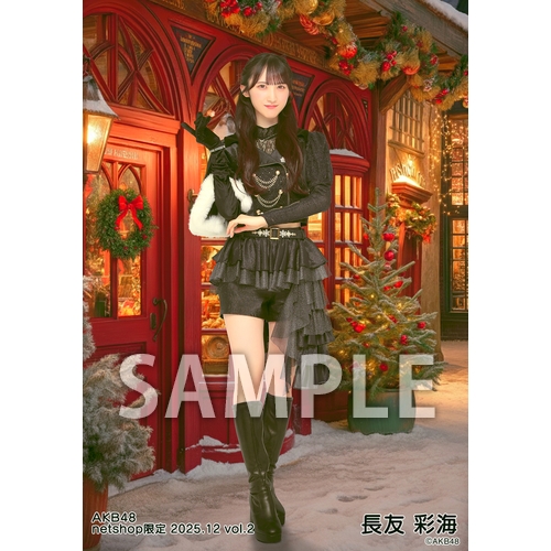 予約商品】AKB48 2025年12月度 net shop限定個別生写真5枚セットvol.2