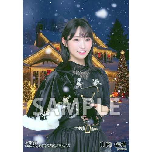 予約商品】AKB48 2025年12月度 net shop限定個別生写真5枚セットvol.2
