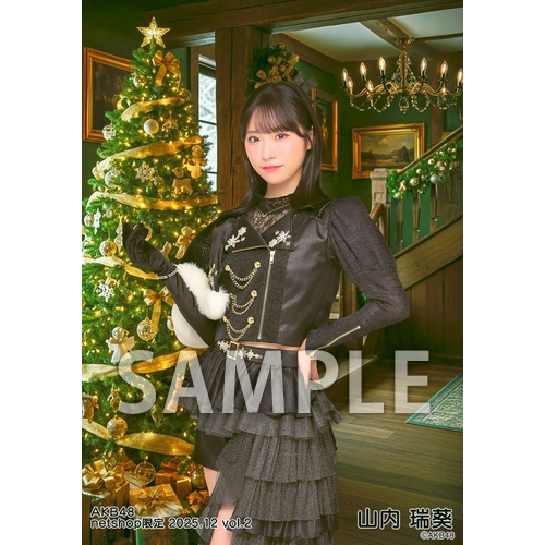 予約商品】AKB48 2025年12月度 net shop限定個別生写真5枚セットvol.2