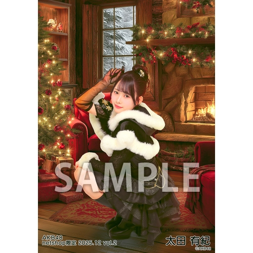 予約商品】AKB48 2025年12月度 net shop限定個別生写真5枚セットvol.2