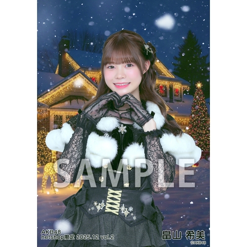 予約商品】AKB48 2025年12月度 net shop限定個別生写真5枚セットvol.2