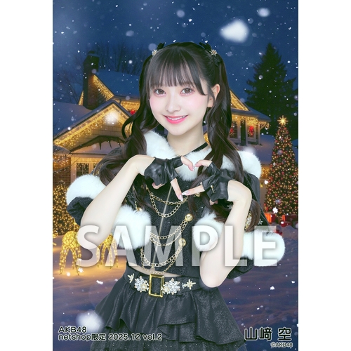 予約商品】AKB48 2025年12月度 net shop限定個別生写真5枚セットvol.2