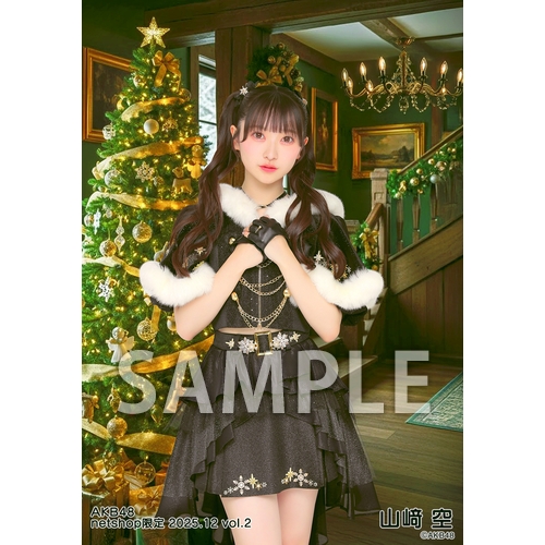 予約商品】AKB48 2025年12月度 net shop限定個別生写真5枚セットvol.2