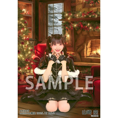 予約商品】AKB48 2025年12月度 net shop限定個別生写真5枚セットvol.2