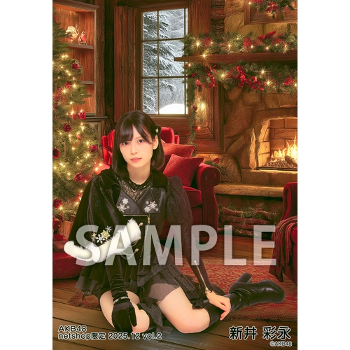 新品【AKB48】アナログ盤 LPレコード 3枚セット【NGT48】 新品【AKB48】アナログ盤 LPレコード 3枚セット【NGT48】