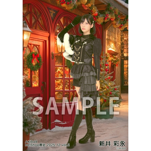 新品【AKB48】アナログ盤 LPレコード 3枚セット【NGT48】 新品【AKB48】アナログ盤 LPレコード 3枚セット【NGT48】