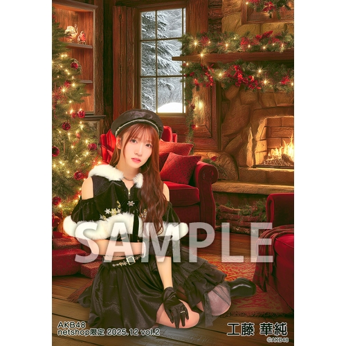 予約商品】AKB48 2025年12月度 net shop限定個別生写真5枚セットvol.2