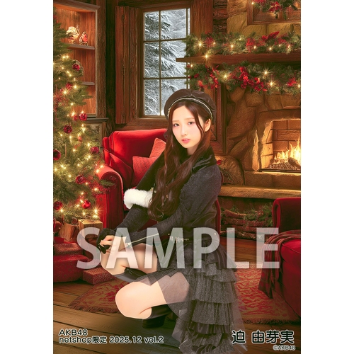 予約商品】AKB48 2025年12月度 net shop限定個別生写真5枚セットvol.2