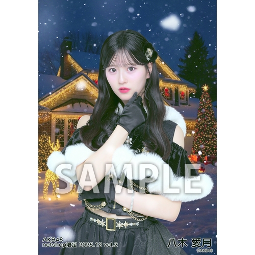 【希少品】AKB48 告知ポスター 8枚セット B2サイズ 非売品 AK-003-2507-88694_p01_500.jpg