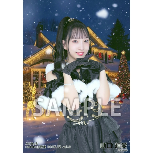 予約商品】AKB48 2025年12月度 net shop限定個別生写真5枚セットvol.2