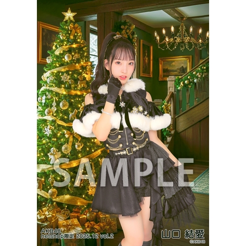 予約商品】AKB48 2025年12月度 net shop限定個別生写真5枚セットvol.2