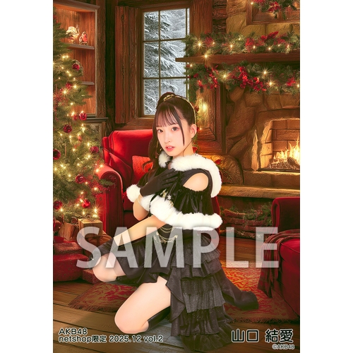 予約商品】AKB48 2025年12月度 net shop限定個別生写真5枚セットvol.2