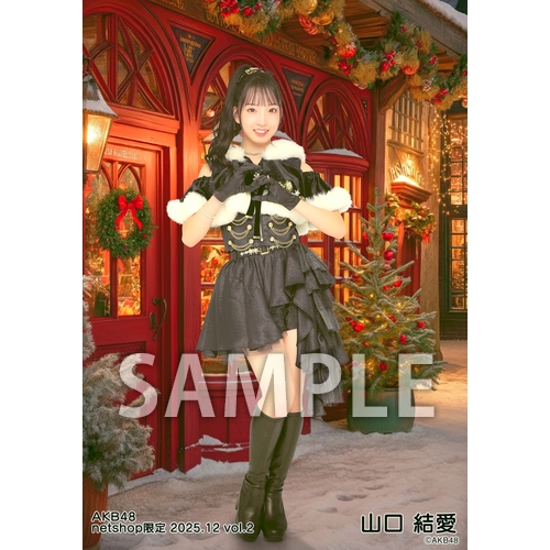 予約商品】AKB48 2025年12月度 net shop限定個別生写真5枚セットvol.2