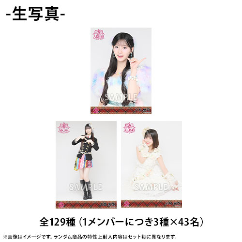 48G 生写真パック AKB48 20th Year Live Tour 2025 in 日本武道館 20周年記念 メンバー