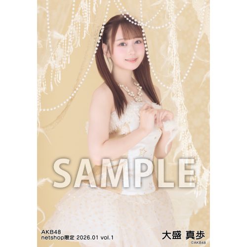 生写真 お値段提示してください AKB AK-003-2507-88694_p01_500.jpg