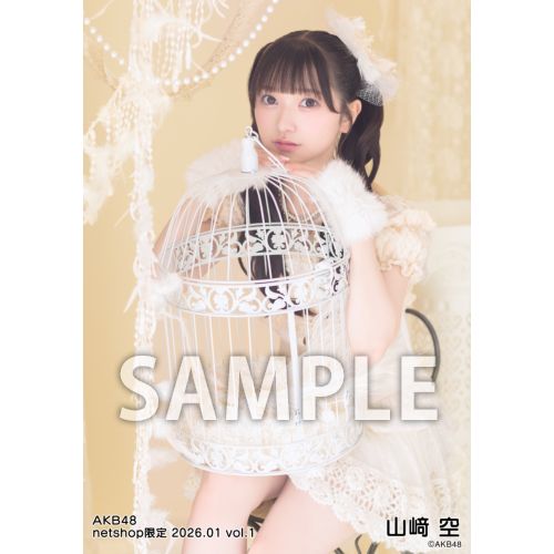 予約商品】AKB48 2026年1月度 net shop限定個別生写真5枚セットvol.1