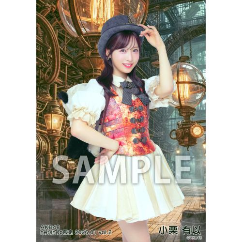 予約商品】AKB48 2026年1月度 net shop限定個別生写真5枚セットvol.2