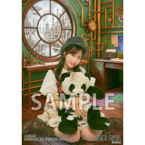 AKB48 CDコレクション 26枚 予約商品】AKB48 2026年1月度 net shop限定個別生写真5枚セットvol.2