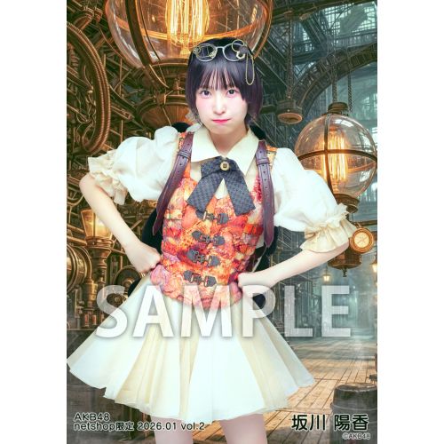 予約商品】AKB48 2026年1月度 net shop限定個別生写真5枚セットvol.2