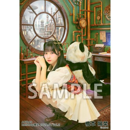 予約商品】AKB48 2026年1月度 net shop限定個別生写真5枚セットvol.2