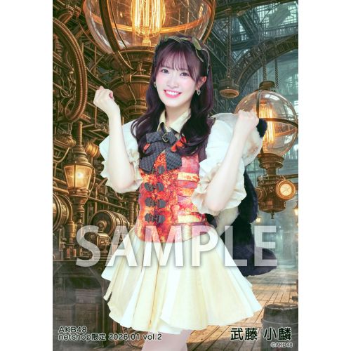 予約商品】AKB48 2026年1月度 net shop限定個別生写真5枚セットvol.2