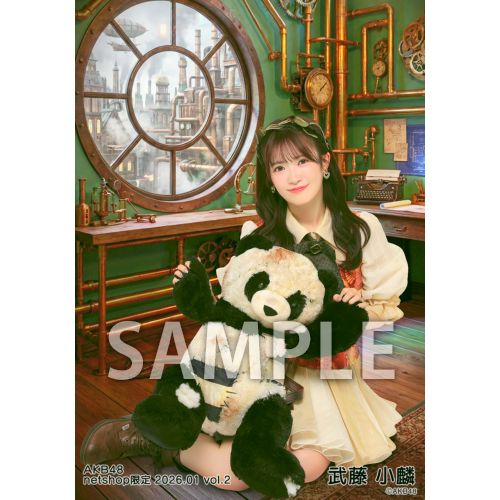 予約商品】AKB48 2026年1月度 net shop限定個別生写真5枚セットvol.2