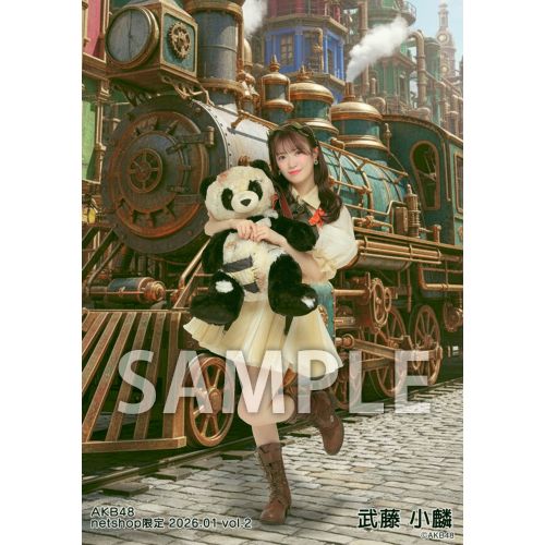 予約商品】AKB48 2026年1月度 net shop限定個別生写真5枚セットvol.2