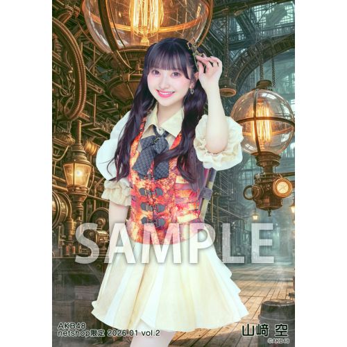 予約商品】AKB48 2026年1月度 net shop限定個別生写真5枚セットvol.2