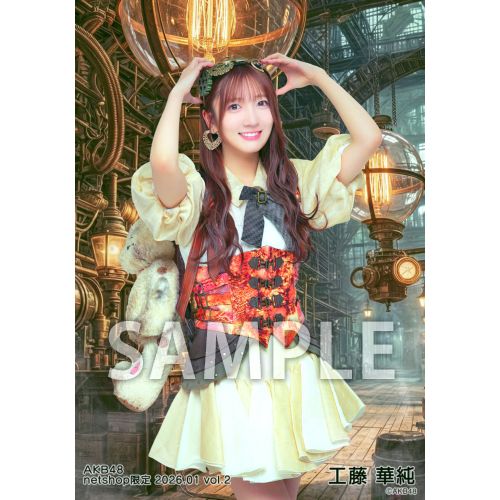 予約商品】AKB48 2026年1月度 net shop限定個別生写真5枚セットvol.2