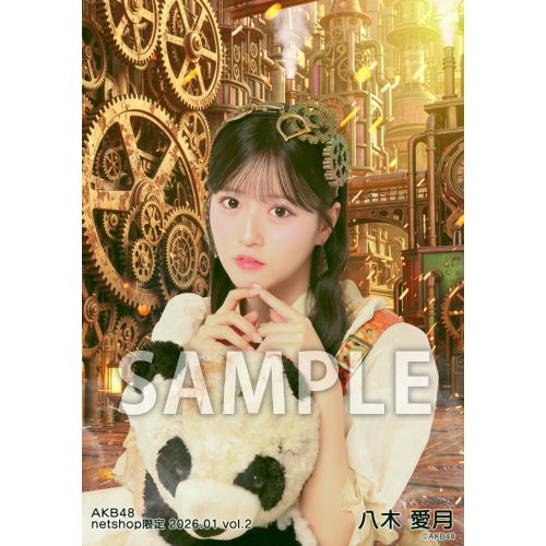 予約商品】AKB48 2026年1月度 net shop限定個別生写真5枚セットvol.2
