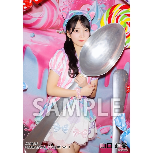 予約商品】AKB48 2026年2月度 net shop限定個別生写真5枚セットvol.1