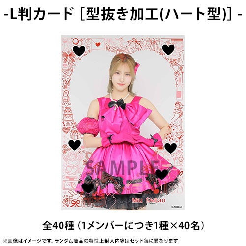 予約商品】AKB48 2026年2月度 net shop限定ランダム生写真4枚セット(L