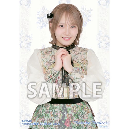 予約商品】AKB48 2026年4月度 net shop限定個別生写真5枚セットvol.2