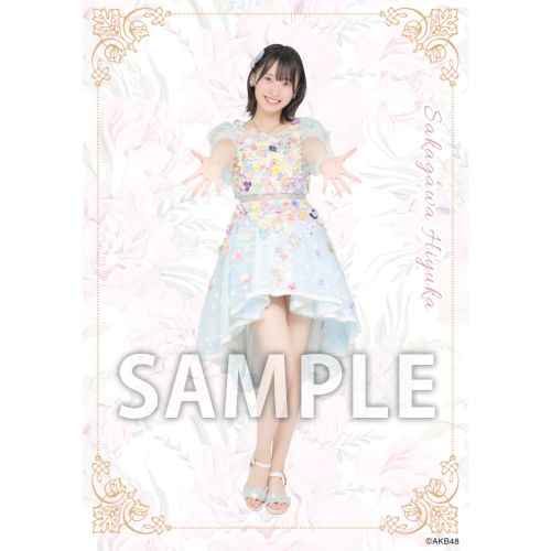 予約商品】AKB48 2026年5月度 net shop限定個別生写真5枚セットvol.2