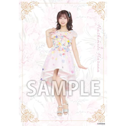 予約商品】AKB48 2026年5月度 net shop限定個別生写真5枚セットvol.2