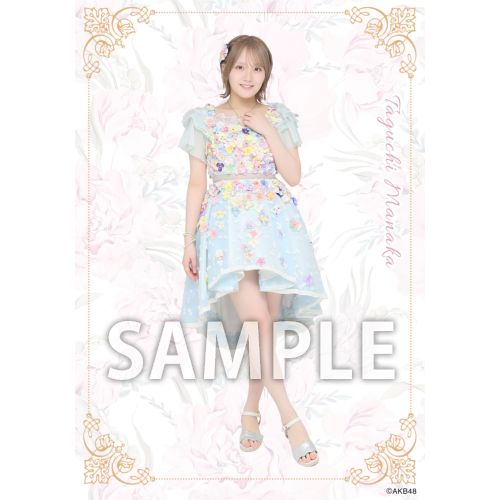予約商品】AKB48 2026年5月度 net shop限定個別生写真5枚セットvol.2