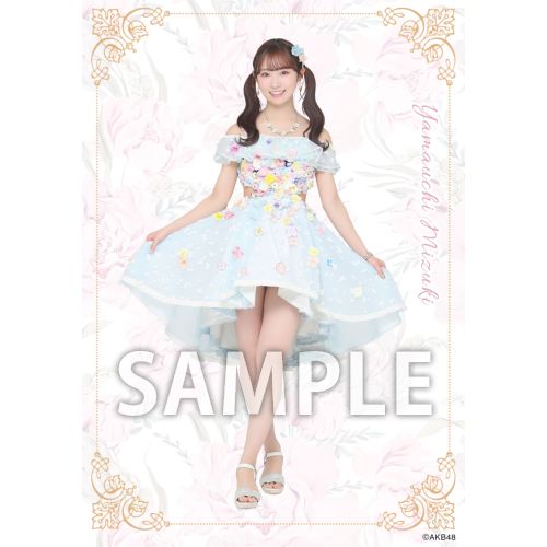 予約商品】AKB48 2026年5月度 net shop限定個別生写真5枚セットvol.2