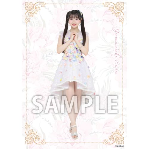 予約商品】AKB48 2026年5月度 net shop限定個別生写真5枚セットvol.2